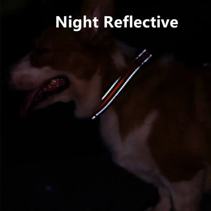 Night reflective reflective dog collar for dogs walking at night, adjustable nylon pet collar with striped reflective design