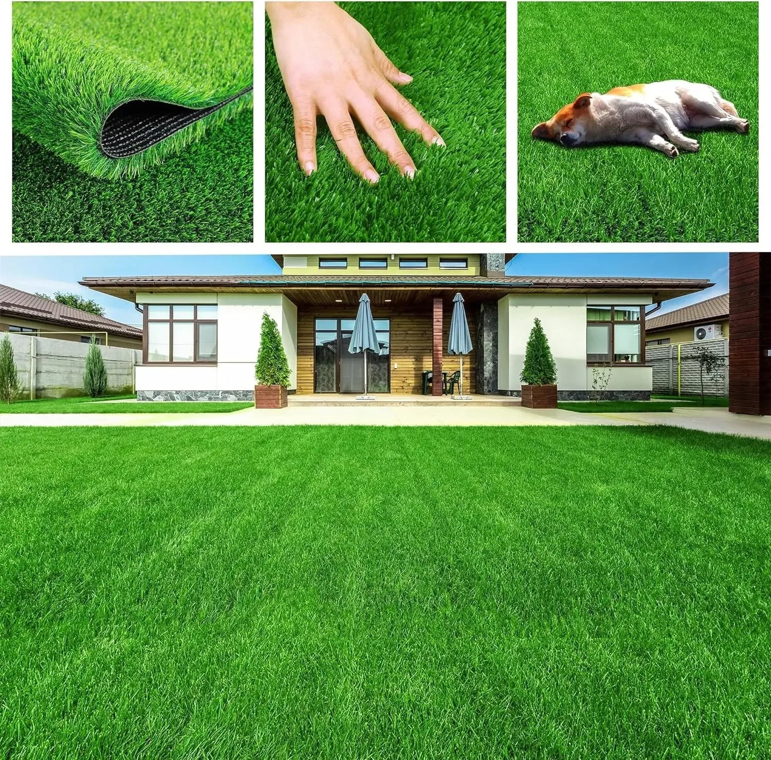 Sd897a62805a24dc9a3d36a1e31143e1ca - bestdoggylife.shop