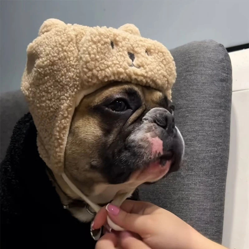 Bulldog wearing a cute bear-ear fleece dog hat, held by a hand on a sofa indoors