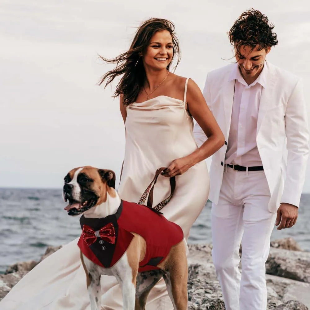 pet tuxedo outfit for dogs with matching collar, red formal vest and bow tie, premium party costume