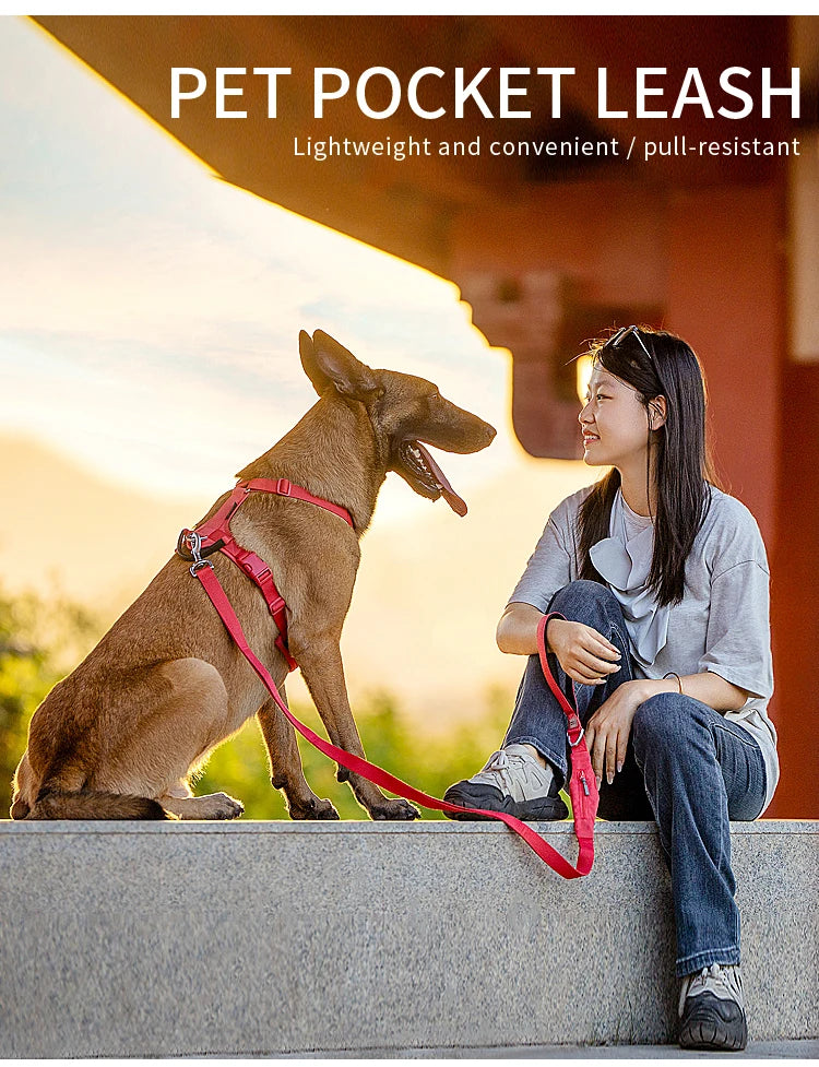 SMALL COMBINATION Large Dog Collar Harness and Leash Sets No Pull Reflective Medium Dog Chest Vest Pet German Shepherd Training