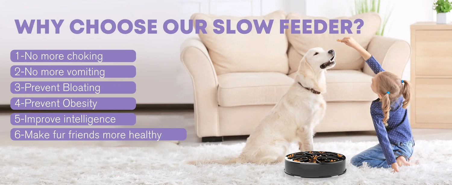 Slow feeder dog bowl with pet and child, anti-gulping non-slip feeding bowl for dogs, helps prevent choking and bloating
