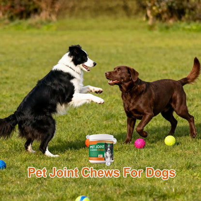 Sdab2d94ef89b4050b15d9a8f2d3a7b610_81149a75-a077-4ab2-83cc-8037ef7073cc - bestdoggylife.shop