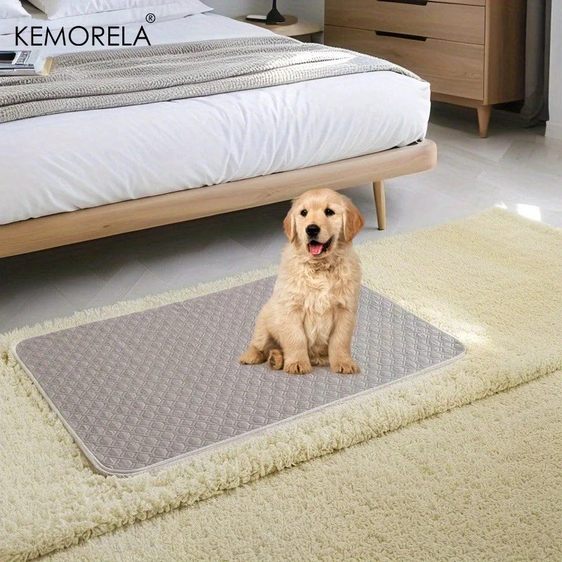 Washable pet training pad for puppies with quick-absorb layer and leak-proof backing, reusable mat for crate, car, and home