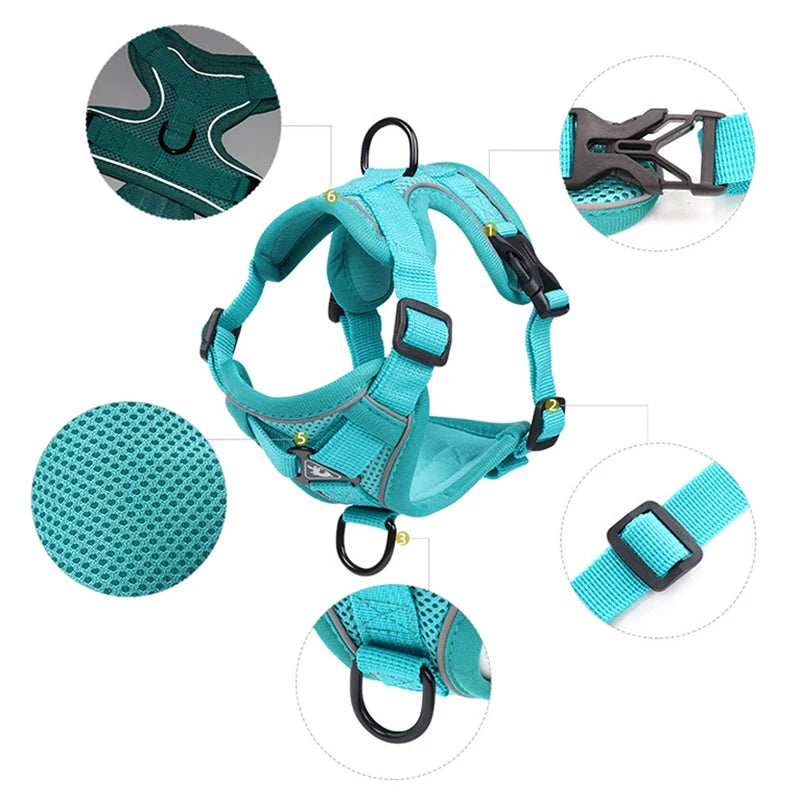 Reflective cat harness and leash set with breathable mesh, padded vest design, and secure buckle for small cats and dogs