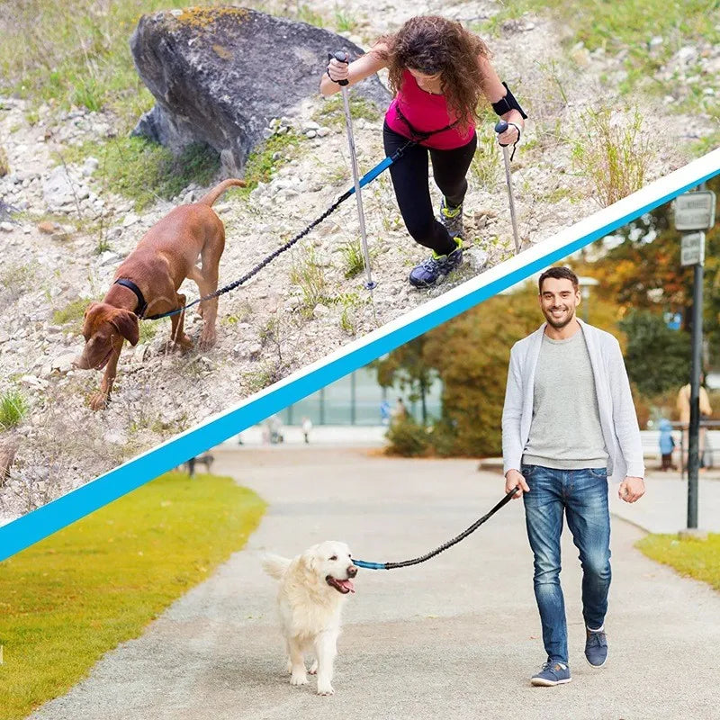 Retractable Hands Free Dog Leash For Running Double Handles Elastic Cord Reflective Large Dog Leash Pet Supplies
