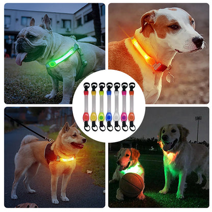 Sdcae0cb83f9d4be6b13f6dcc22e4bac4n - bestdoggylife.shop