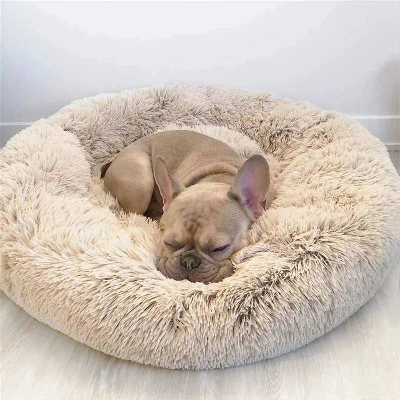 washable plush donut cat bed, soft fluffy pet sleeping bed for winter comfort