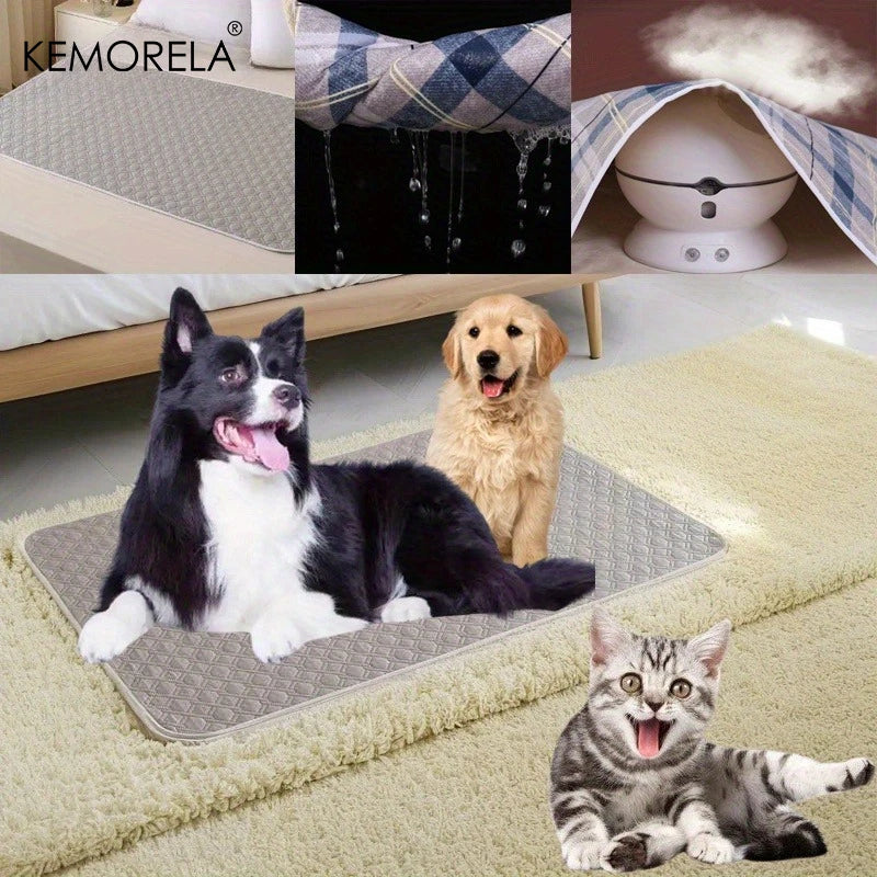 washable pet training pad with quick-absorb layer and leak-proof backing for puppies, dogs, crates, and car use