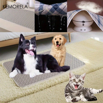 washable pet training pad with quick-absorb layer and leak-proof backing for puppies, dogs, crates, and car use