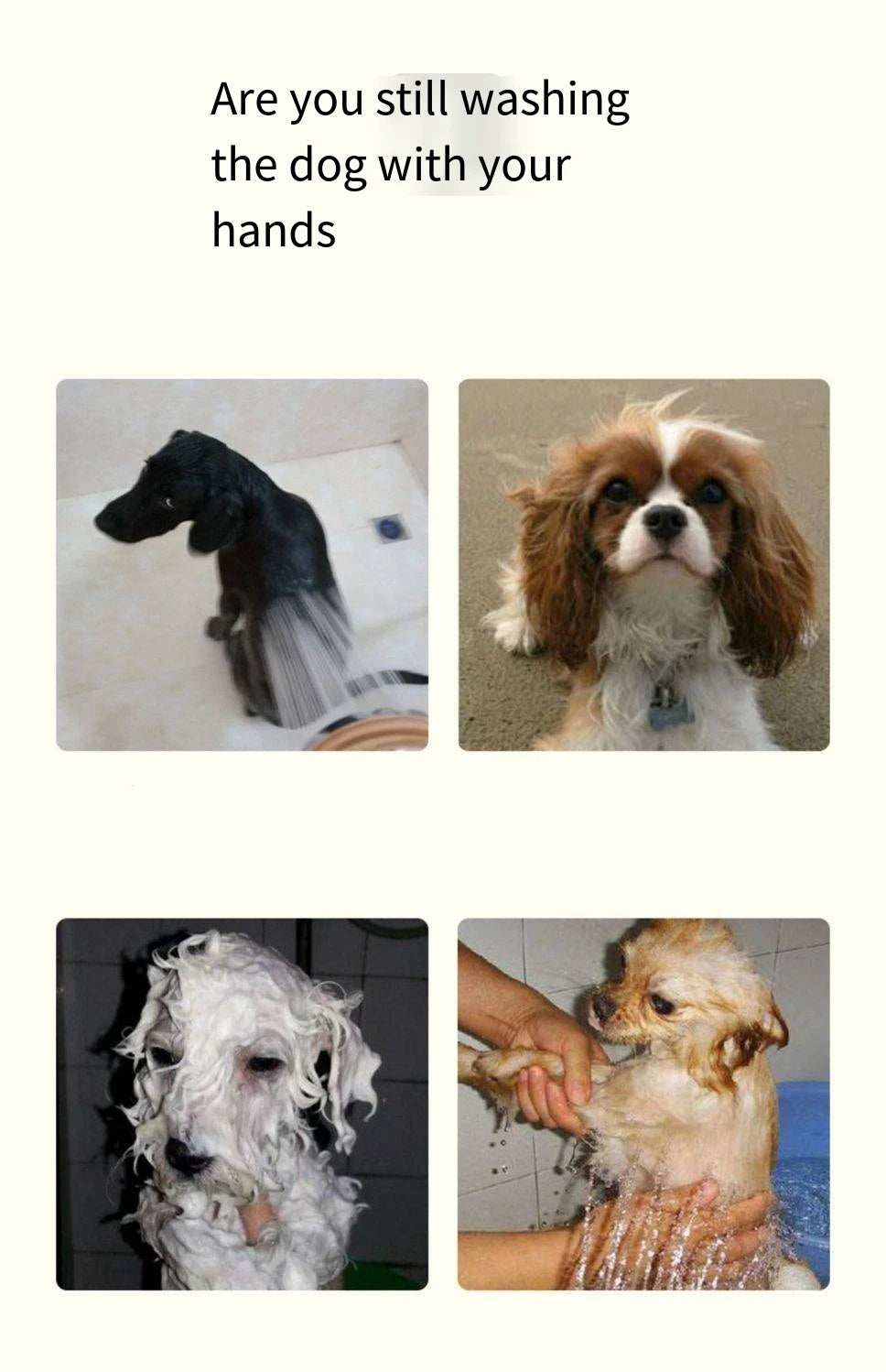 silicone pet bathing brush for dog grooming and shampoo dispensing bath massage