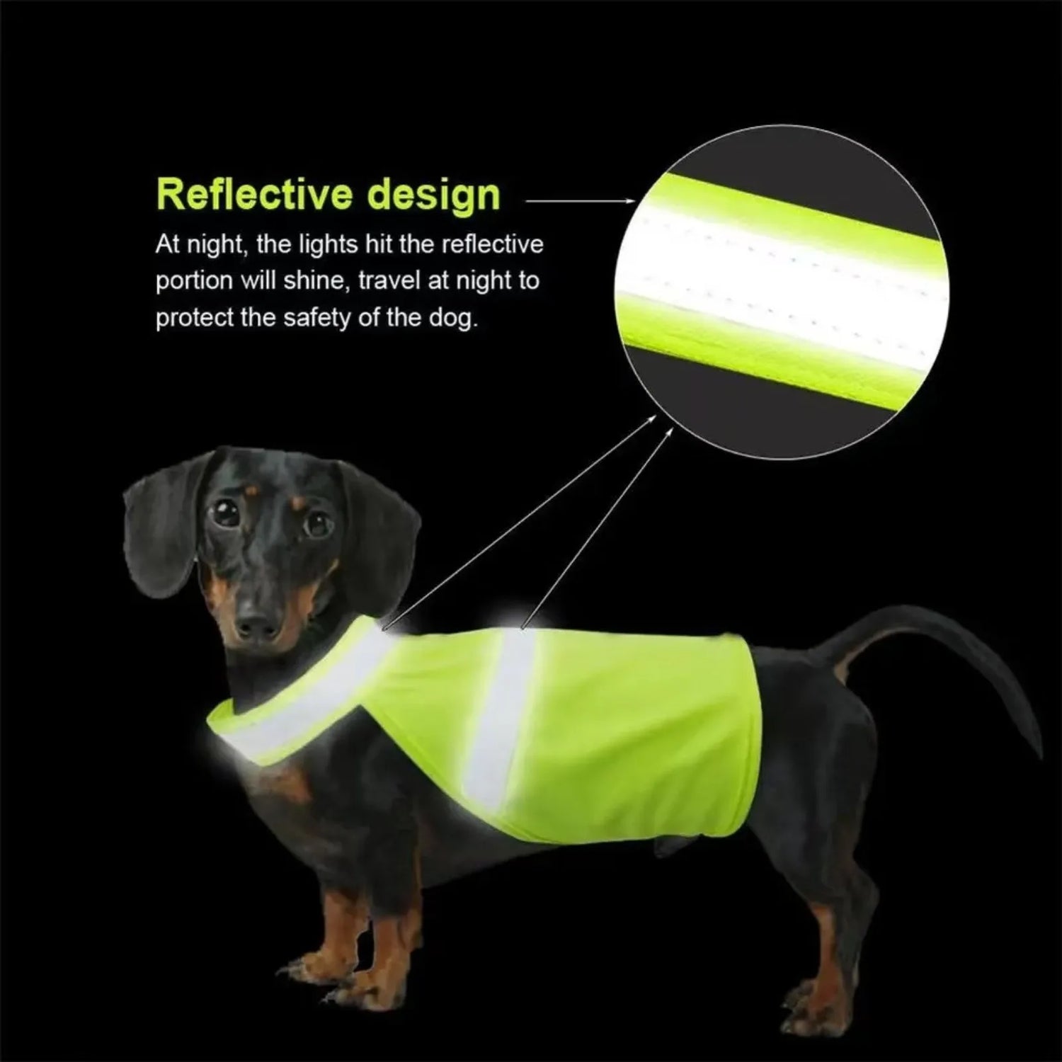 Sde065dee5a6f45668b9faa59d94f36f3c_e3969fa0-a40e-4a65-86ae-3c3b8522298f - bestdoggylife.shop