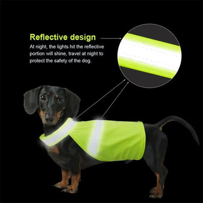 Sde065dee5a6f45668b9faa59d94f36f3c_e3969fa0-a40e-4a65-86ae-3c3b8522298f - bestdoggylife.shop