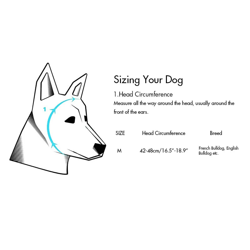 Dog head circumference sizing guide illustration with measurement instructions for medium breeds like French Bulldog.
