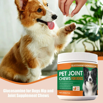 Dog receives a chewable joint supplement treat, glucosamine chews container in foreground.