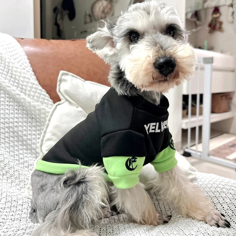 Fashion Dog Hoodies Comfortable Pet Clothes for Small Dogs Soft Sweatshirt Puppy Outdoor Yorkshire Chihuahua Costume Pet Supply