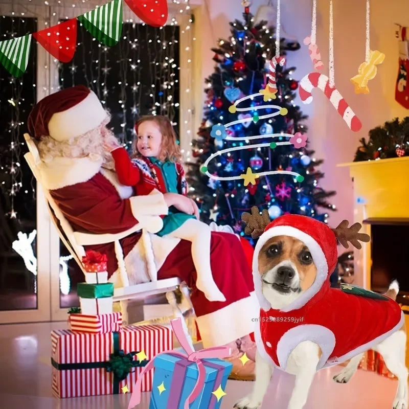 Dog in reindeer antler costume with Santa hat, Christmas tree, and gifts in festive room