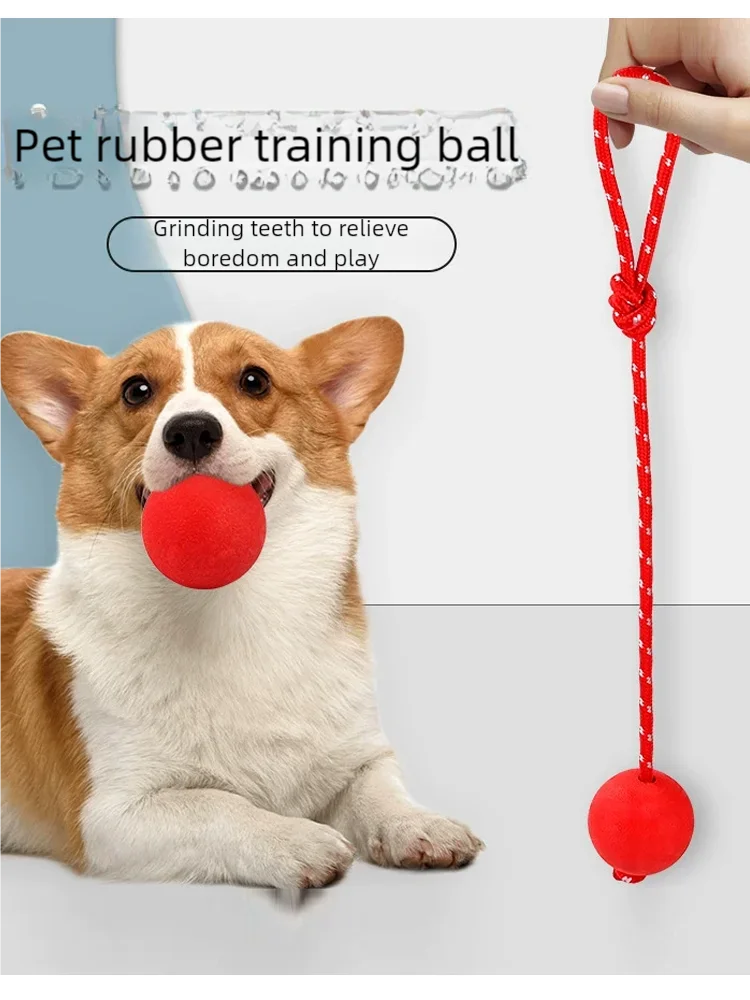 Se11b43cec1064934aba8c5308f659437K_d6c4afcf-4087-4bb3-b8c3-2b6da4e0ea9c - bestdoggylife.shop
