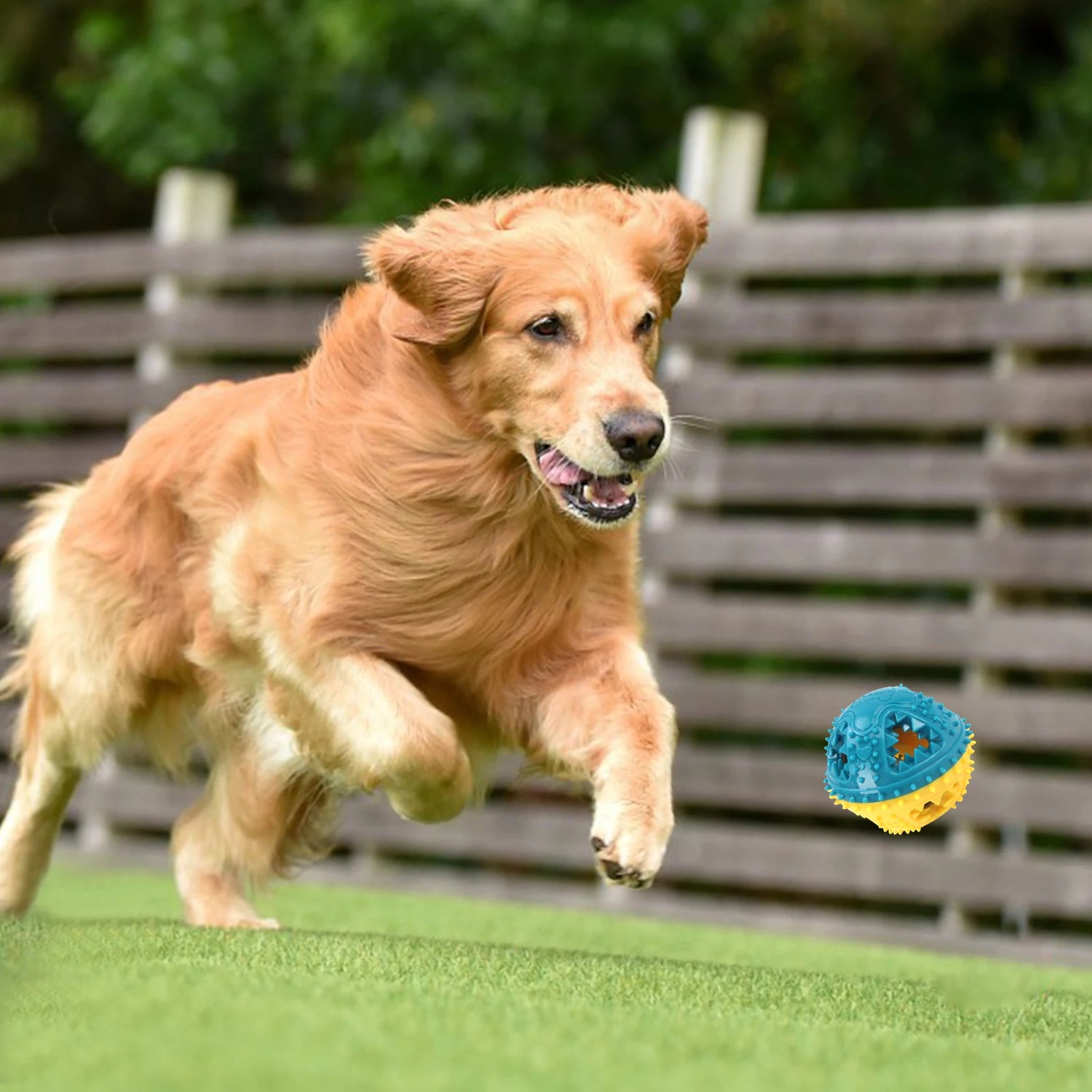 Se13d2471eaa1496ebabef3a0d7ff81d4J_6cdd8508-9890-44f2-bc1f-c3084168b846 - bestdoggylife.shop