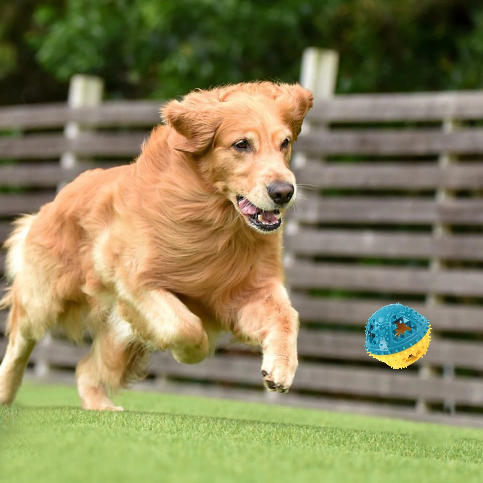 Se13d2471eaa1496ebabef3a0d7ff81d4J_6cdd8508-9890-44f2-bc1f-c3084168b846 - bestdoggylife.shop