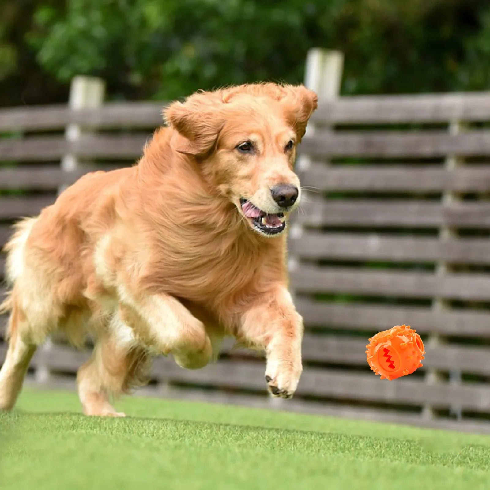 Se175a9de48074c8c84263e20382bebedw - bestdoggylife.shop