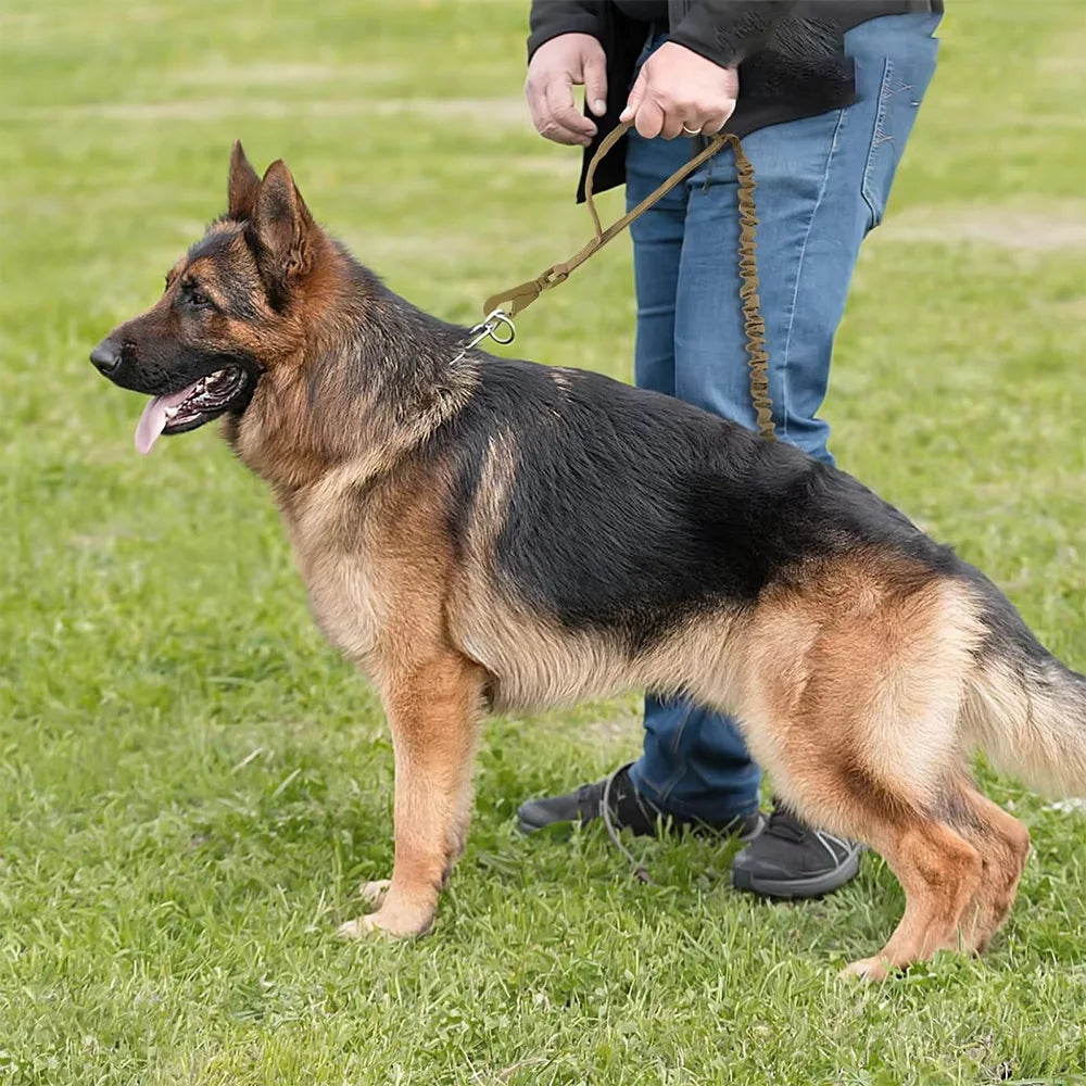 adjustable military dog leash on German Shepherd with handler, tactical nylon leash with quick release and dual handles