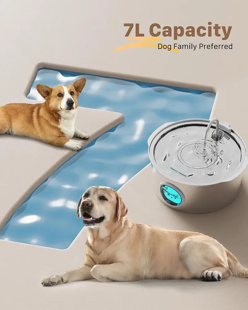 7L stainless steel pet water fountain with visible water level and quiet automatic dispenser for dogs and cats