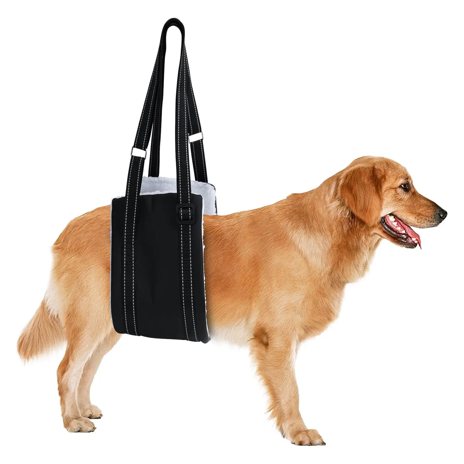 Se1d7d8cf463c47748c213b5031068af6Y - bestdoggylife.shop