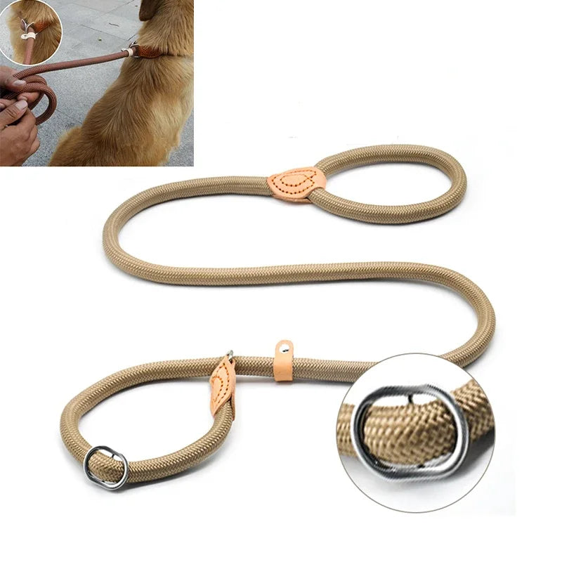 Se1dba89e65ed4d18996d0311be0c7c32e - bestdoggylife.shop