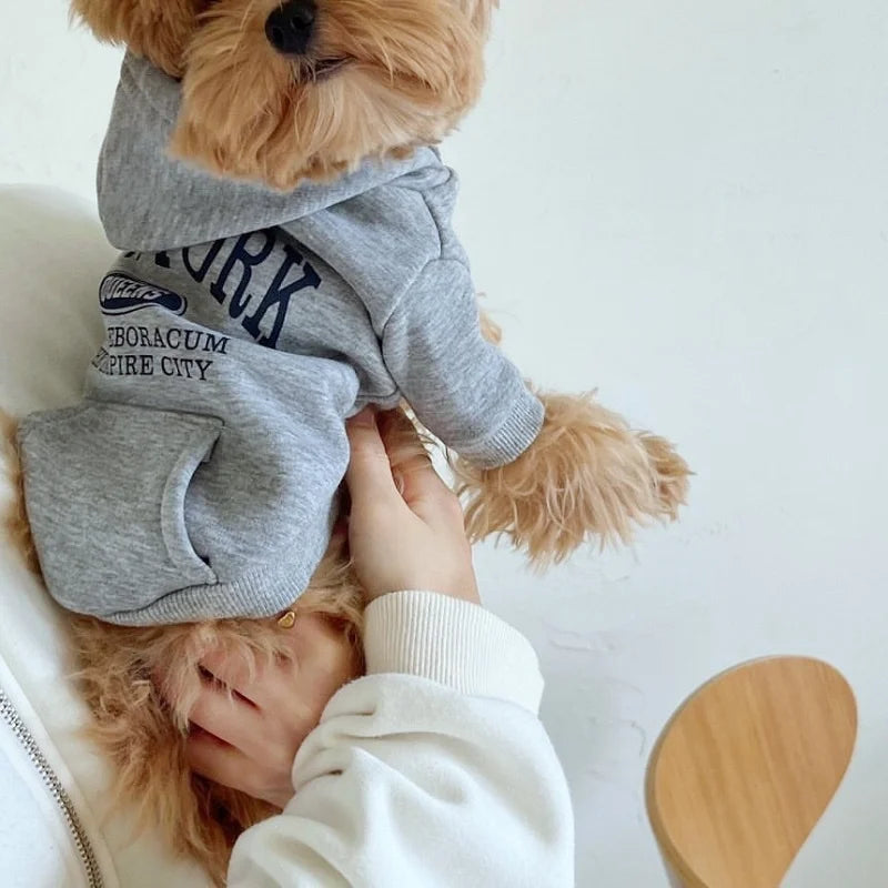 Fashion Dog Hoodies Comfortable Pet Clothes for Small Dogs Soft Sweatshirt Puppy Outdoor Yorkshire Chihuahua Costume Pet Supply