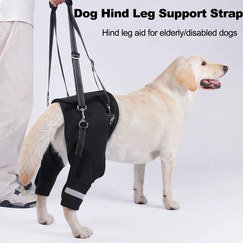 Legs Hip Support Dog Lift Harness Black Sturdy Handle Pet Aid Assist Tool Soft Padded Adjustable Dog Rear Leg Support