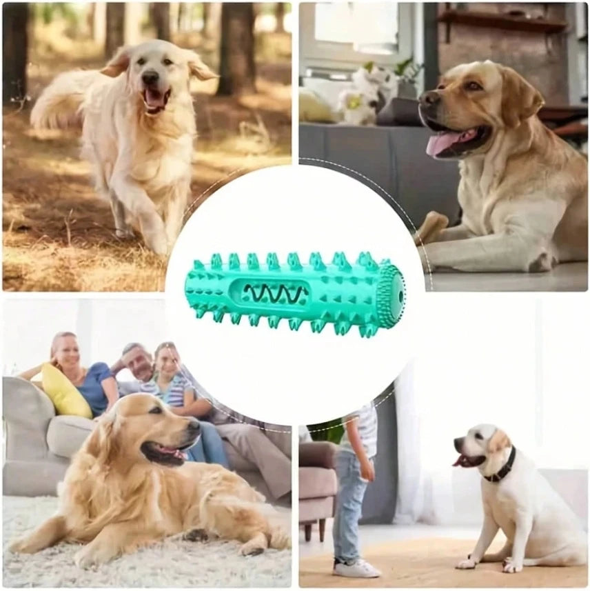 dog tooth chewing toy for all dogs, durable TPR chew toy for oral care and tartar prevention