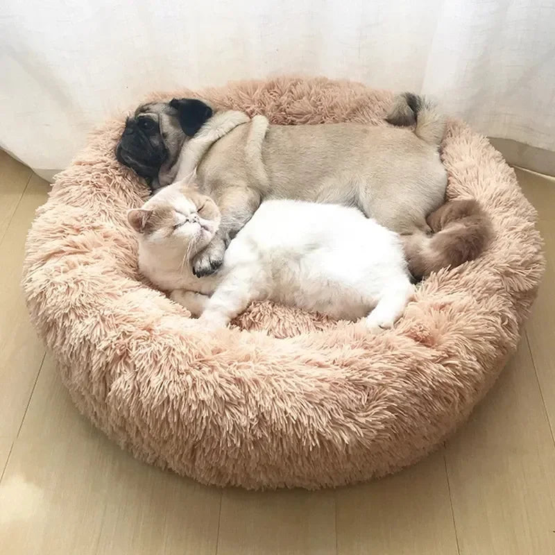 washable plush donut cat bed for cozy winter sleep, soft calming pet bed for cats and small dogs