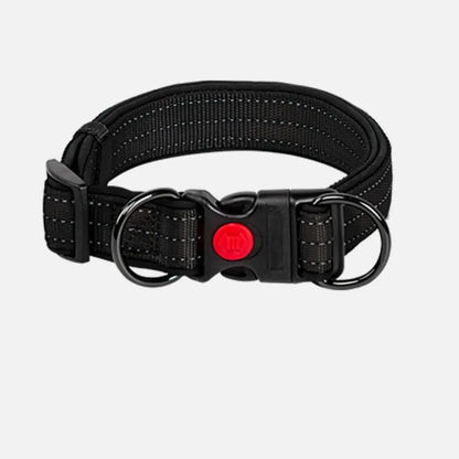 Se386ac0669294e05812fe3b7641479bck - bestdoggylife.shop