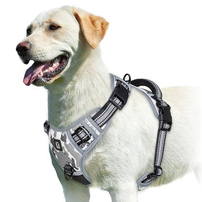 Se449a81f8a1f46ad8ed6e9f58b8d5abe7 - bestdoggylife.shop