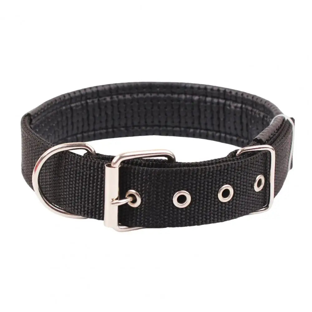 Se55a347c70df4bf899e8dce783ef12baS - bestdoggylife.shop
