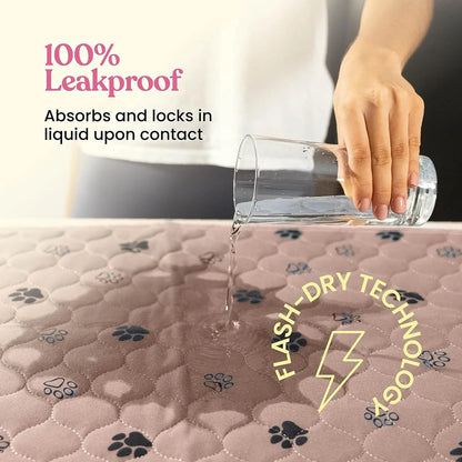 Hand pouring water on leakproof dog pad with paw prints and flash-dry technology text.