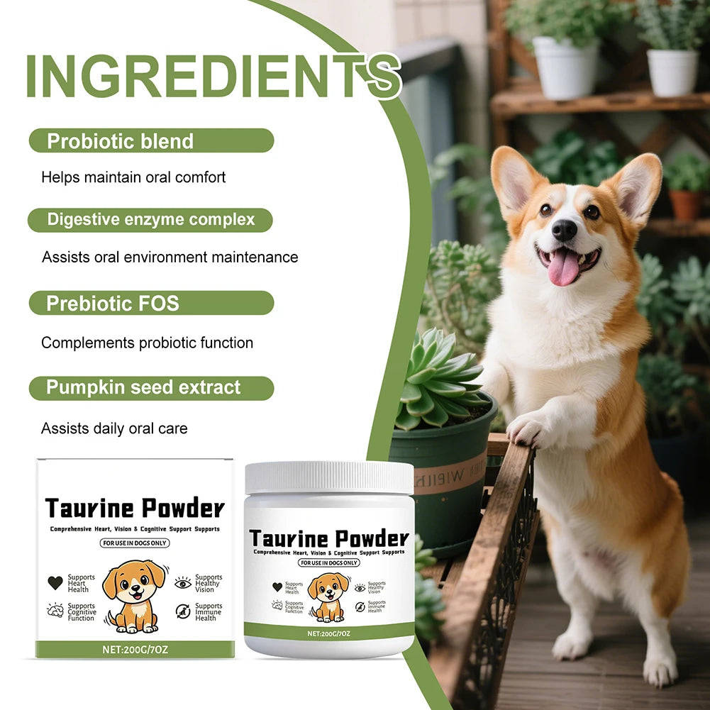 Corgi near succulents with Taurine Powder dog supplement and ingredient benefits list.
