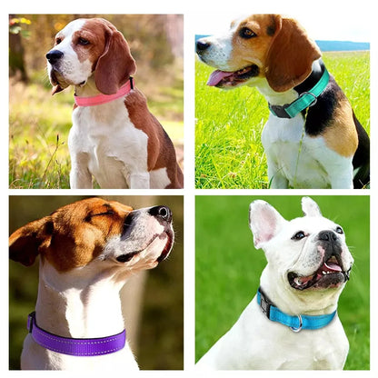 Se67f3a03709b4e3fa8a8b054ec722698t - bestdoggylife.shop