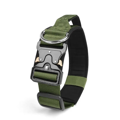 tactical dog collar for medium to large dogs green padded buckle collar from China Mainland for training and control