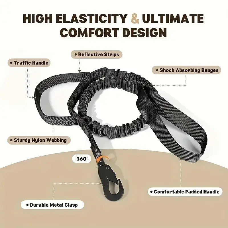 large dog training collar and leash with reflective strips, padded handle, durable nylon webbing, and shock absorbing bungee