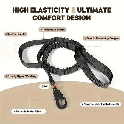 large dog training collar and leash with reflective strips, padded handle, durable nylon webbing, and shock absorbing bungee