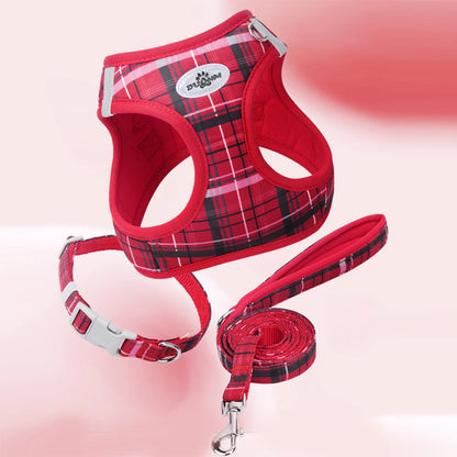 Plaid pet leash set with red plaid harness, matching leash and collar for cats and dogs, durable adjustable pet walking accessory