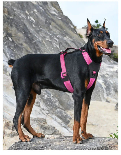 Se8ede8c49cd74492b78f2ef386703ccab - bestdoggylife.shop
