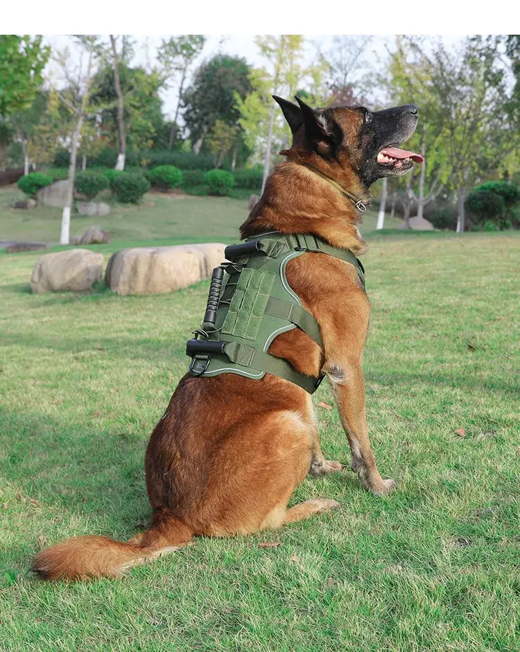 tactical dog harness on a Belgian Malinois sitting on grass, green reflective quick-release training vest