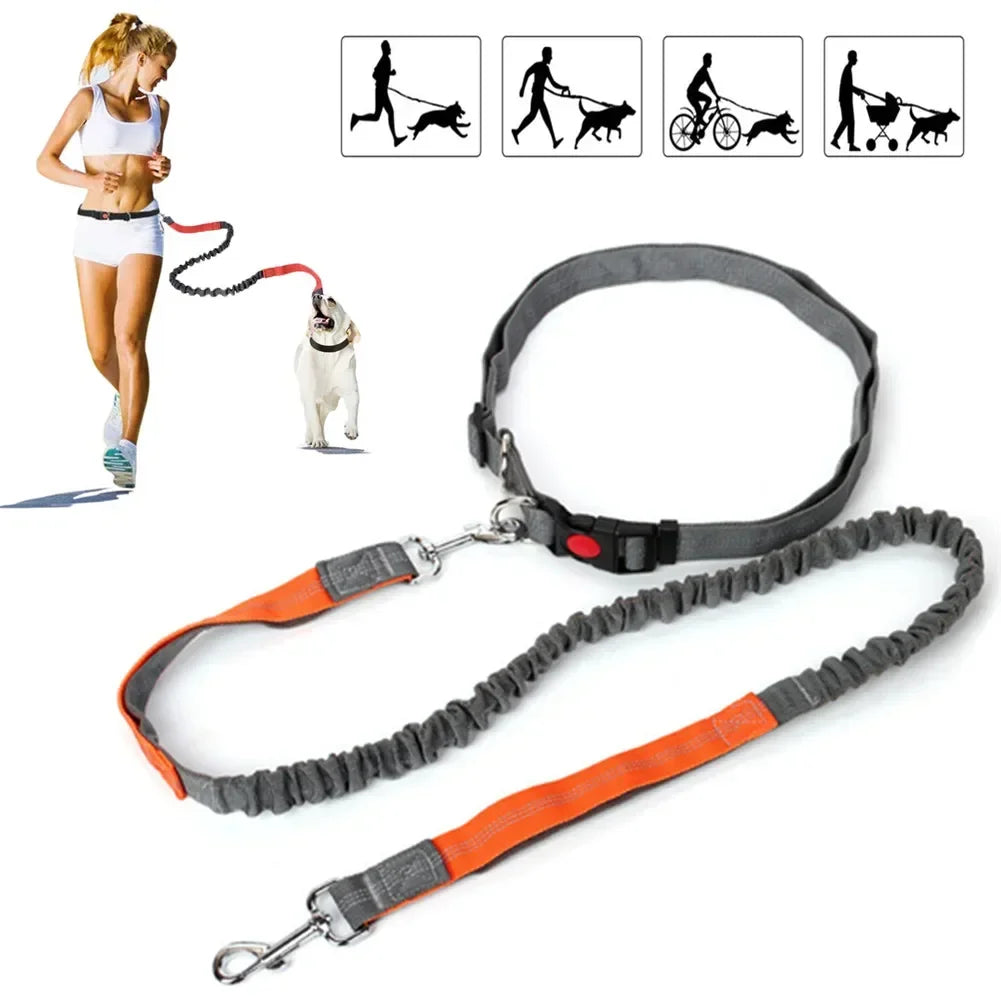 Se997485e16564d46852981e5a0ebfaa3e - bestdoggylife.shop