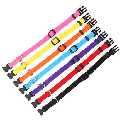 Adjustable nylon dog collar with quick release buckle, colorful thin nylon webbing for small, medium, and large dogs