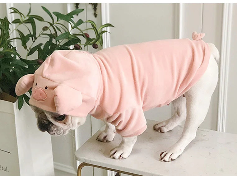 Seac4118006cd4a2a9080b6f5111ba1555_33baa2b7-7cd9-452e-bade-b5afeb01239e - bestdoggylife.shop