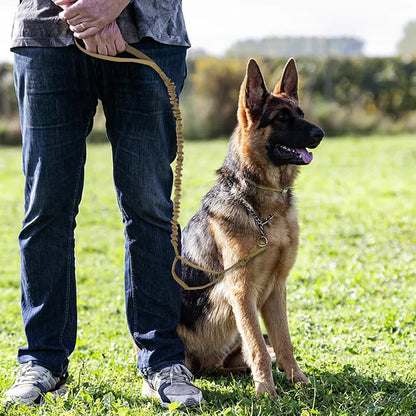 adjustable military dog leash for medium and small dogs, tactical nylon lead with quick release and dual handles