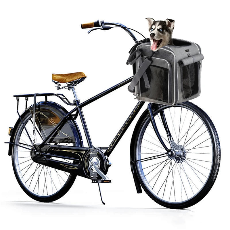 Sec2d1772625d4726ab15378d41e75348l - bestdoggylife.shop